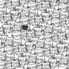 Überbreiter Schwarz-Weißer Katzenstoff - Another Point Of View - Happy Cats 108 Inches Quilt Back Rückseitenstoff - Whistler Studios For Windham Fabrics Patchworkstoffe