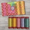 12wt Anna Maria Horner Mini Thread Collection - Kleines Aurifil Garnsortiment "Welcome Home"