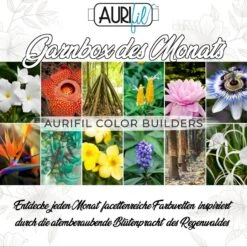 2022 Aurifil Color Builders - Rainforest Flora BOM & Aurifil 50 Wt. Garnsortimente