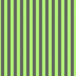 Karma Stripes Streifenstoff - Everglow Neon True Colors Tula Pink Designerstoff - FreeSpirit Patchworkstoffe