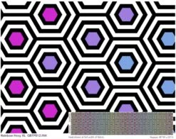 Überbreiter Rückseitenstoff! Ink Rainbow Hexy XXL Quilt Backing - Everglow Neon True Colors Tula Pink Designerstoff - FreeSpirit Patchworkstoffe